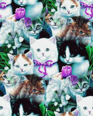 chat