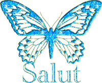 salut a tous